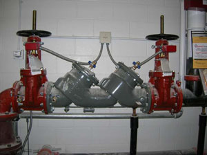 Example of fire sprinkler system backflow prevention assembly