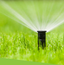 Image of pop-up sprinkler head spraying water