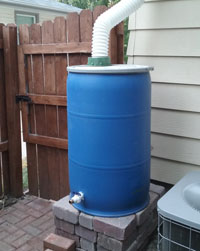 A rain barrel is used to collect and store rooftop runoff