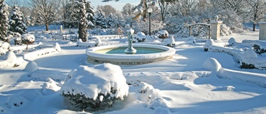 Hamann Rose Garden in the winter