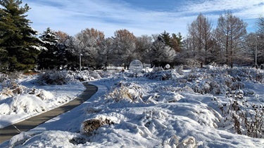 Rotary Strolling Garden in the winter
