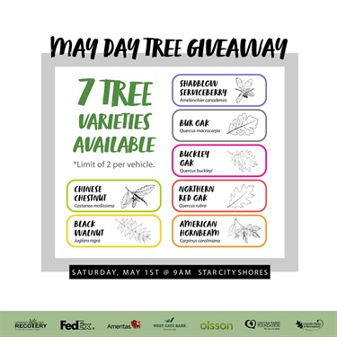 May Day Give Away tree species
