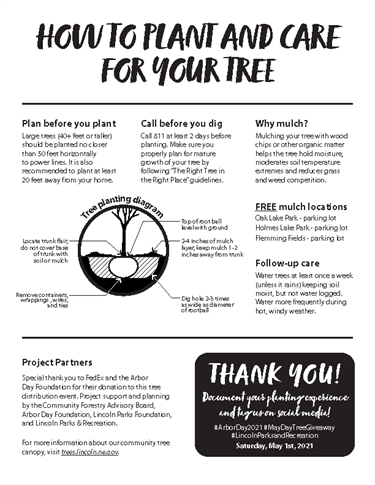 How to Plant and care for your tree flyer