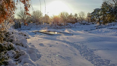 Snow covered paths in the Garden