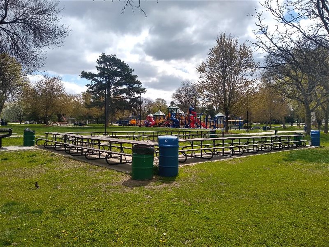 A large open space with picnic tables near the playground under the trees of Antelope Park.