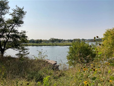 Bowling Lake’s banks are home to many different Nebraska Natives. This photo is framed by deciduous trees, and sunflowers in the bottom right corner. In the background the lack and island are both visible.