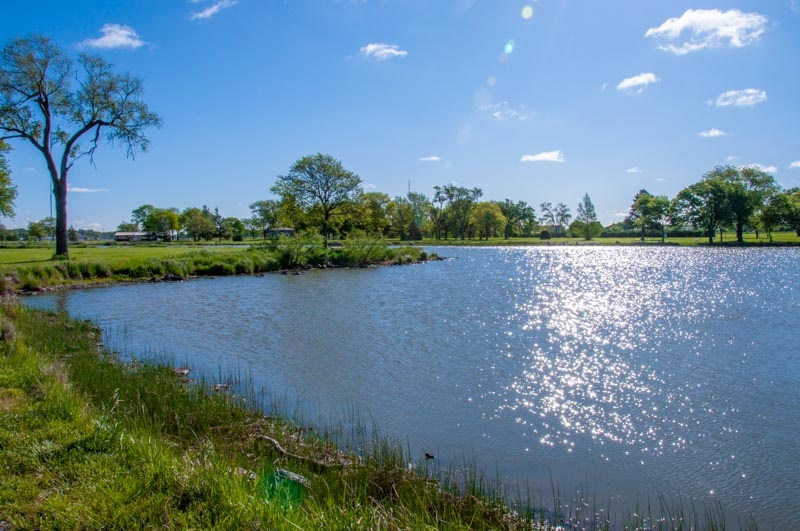 LPR-PARK-OAKlake.jpg