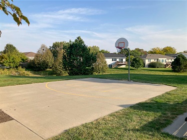 A paved half court basketball court near large shade trees.