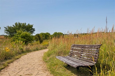 A paved path winds deeper into the tall grass prairies, at the turn is weather worn bench.
