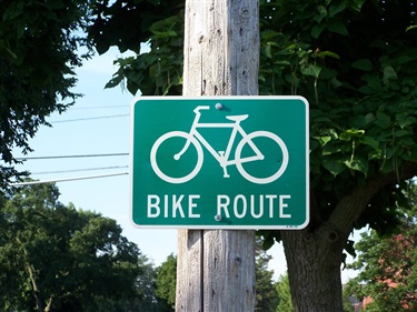Bike Route Signage