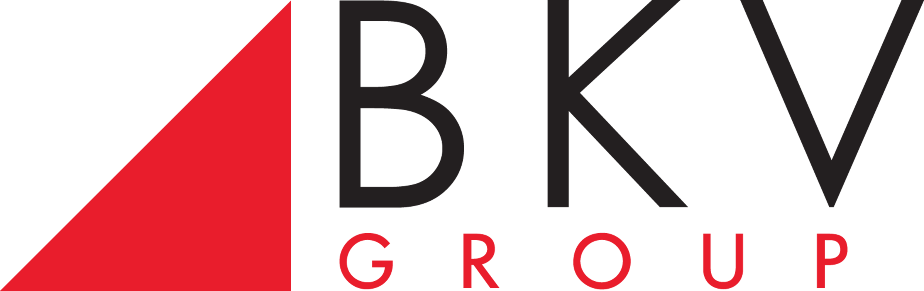 BKV-Logo-Black-Red-with-Mark-hi-res_.png