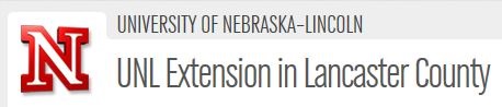 Extension.jpg