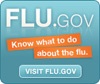 flu-dot-gov.jpg