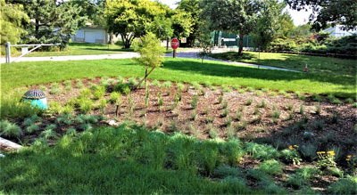 Bioretention