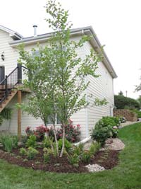 Rain garden installed as part of a cost-share grant program