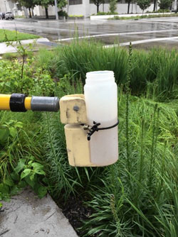 Stormwater sample collected at a bioretention cell