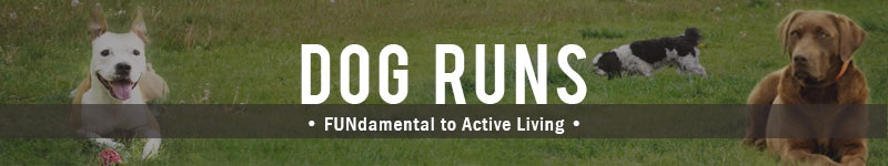 header_dogruns.jpg