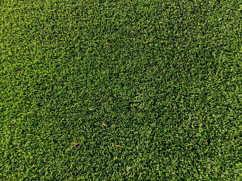 LPR-ShermanField2023Reno-turf.jpg