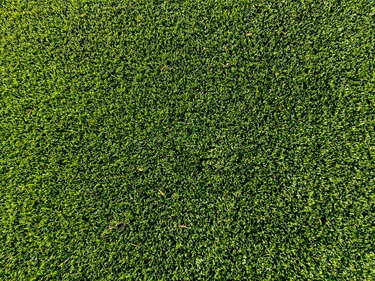Detail of artificial turf. November 2023
