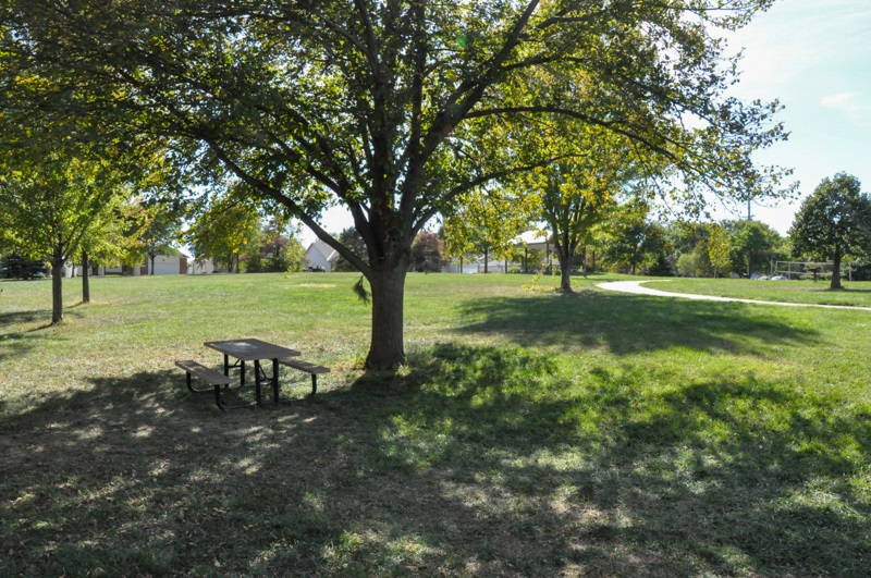 Jaycee-Kahoa Park greenspace with picnic table
