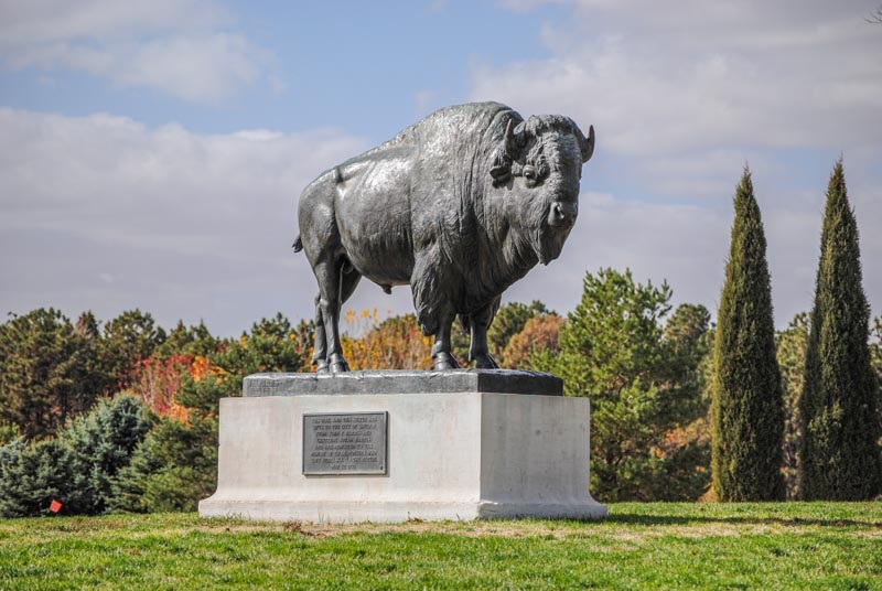 LPR-PARK-PION-buffalo-sculpture.jpg