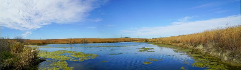 LPR-PPNC-martinpond.jpg