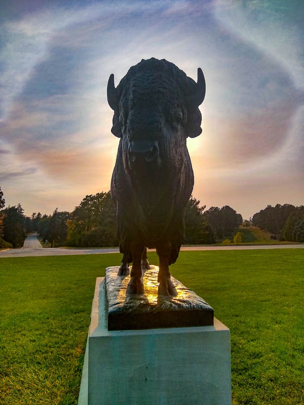 The metal bison sculpture with the setting sun behind it. 