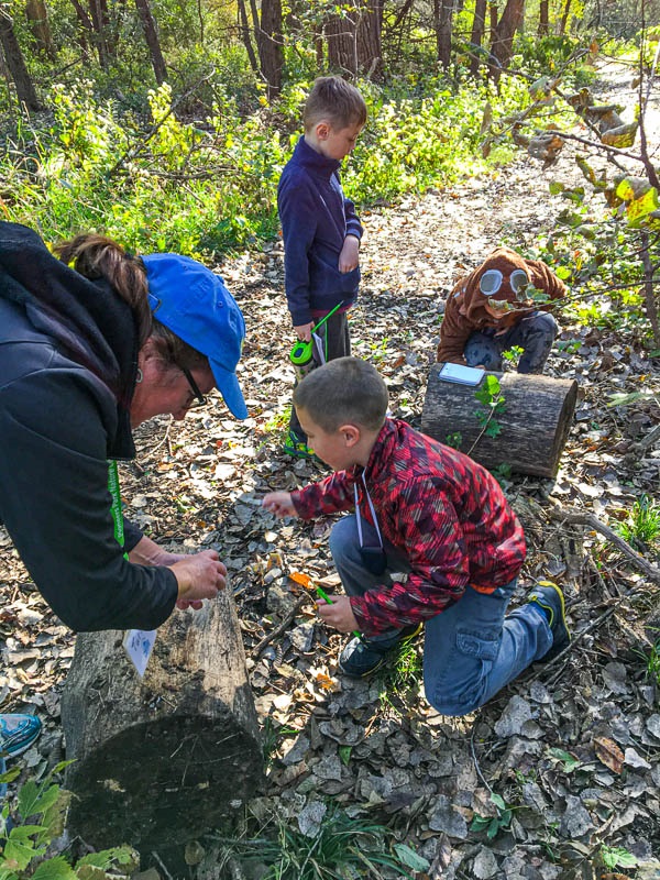 Youth are deeply engaged in a nature activity, the three youth have tape measures and are being guided by a staff on a leafy path in the woods.