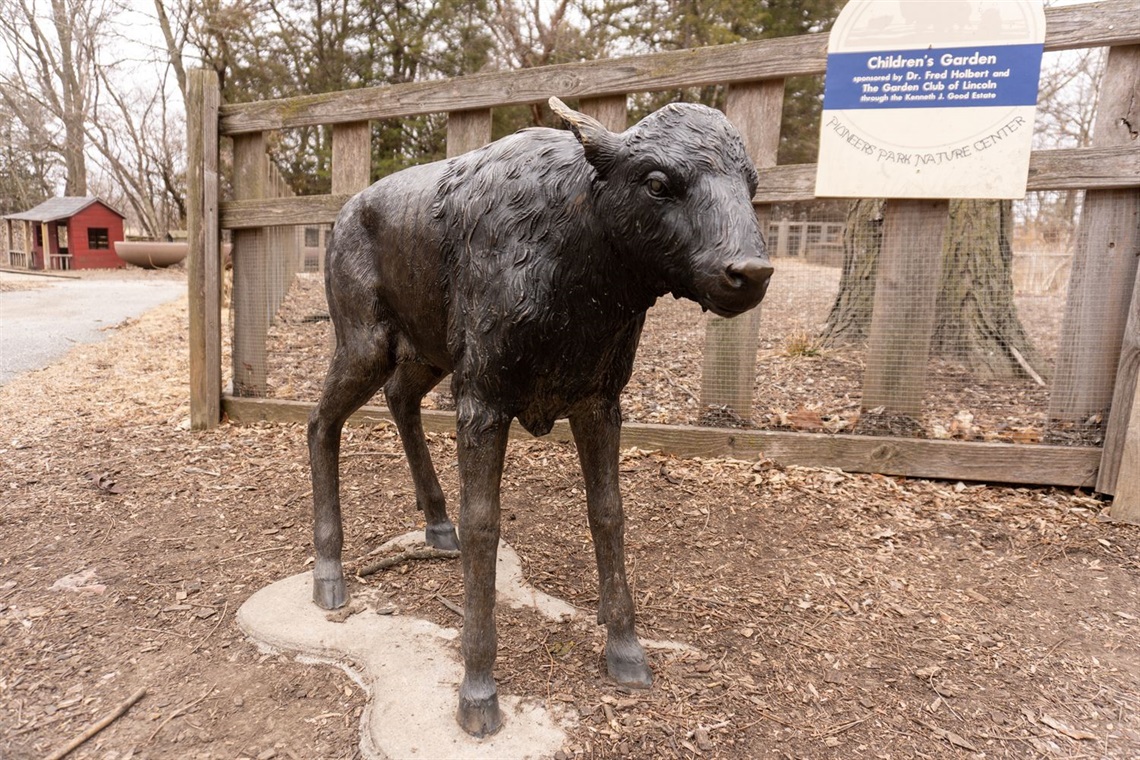 A bronze sculpture of a bison calf inside the Preschool Garden. 