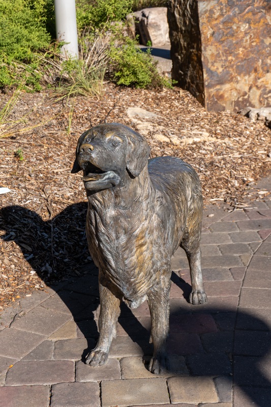 Bronze replica of a retriever with its mouth open