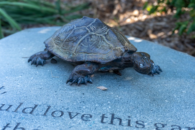 A close look at the face of a bronze turtle on a stone with writing on it, though we cannot read the sentence