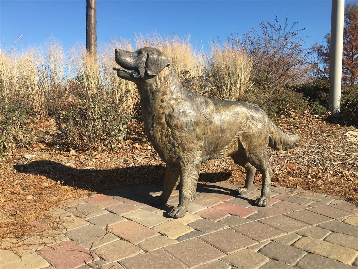 a bronze replica of a dog, specifically a retriever