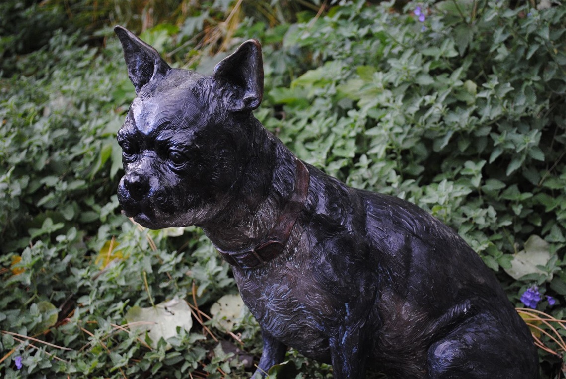 A small metal dog in front of a bed of plants