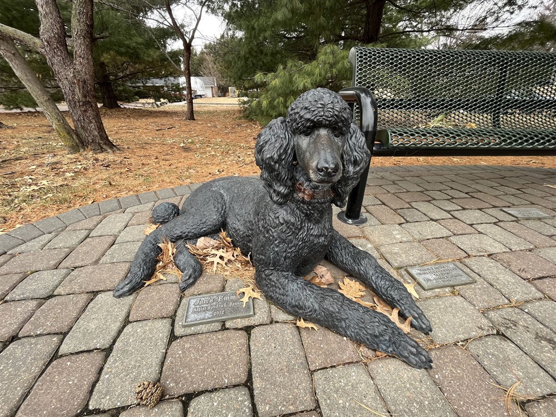 A bronze poodle laying on the ground in front of a bench. 