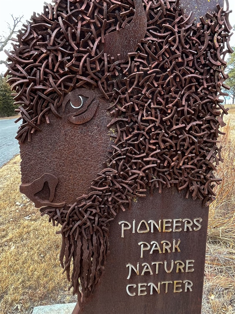 A close up of the welded metal bison on the Pioneers Park Nature Center welcome panels. 