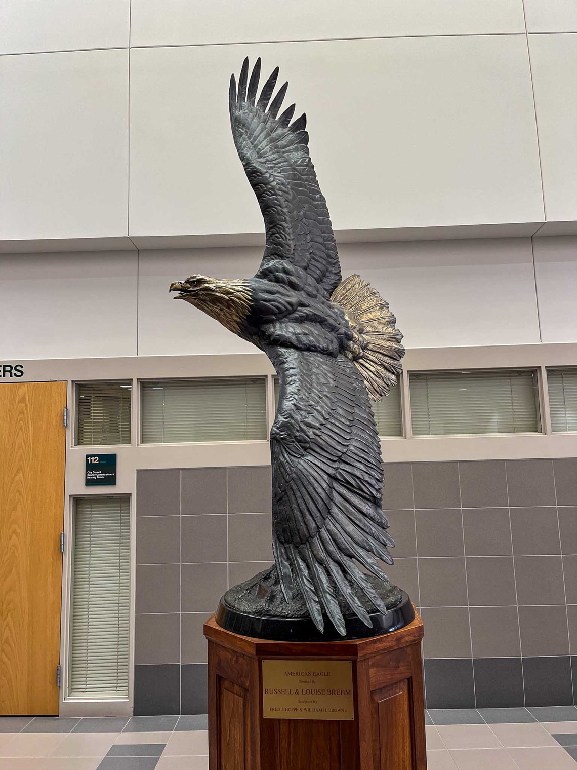 The backside of an eagle sculpture that is made of metal. The darker color of the feathers show all of the details, there is a contrast to the lighter tail feathers and the head. 