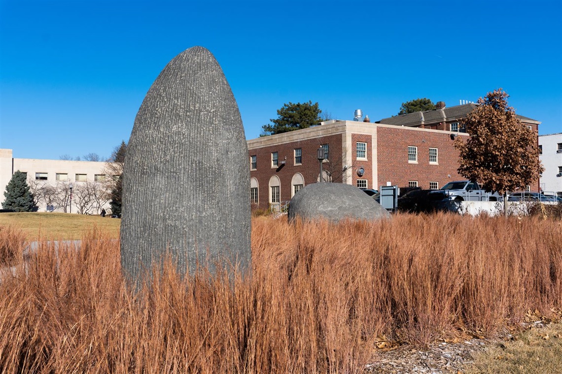 two textured stones emerging from the prairie grasses that surround them. 