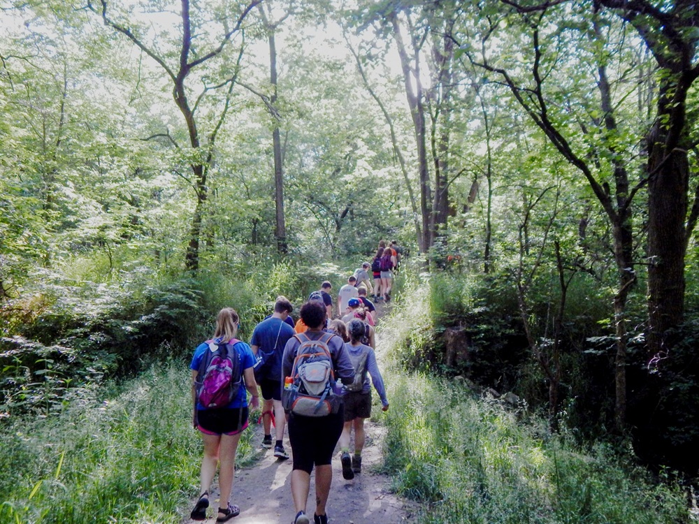A group on the trail walks through the wooded area.