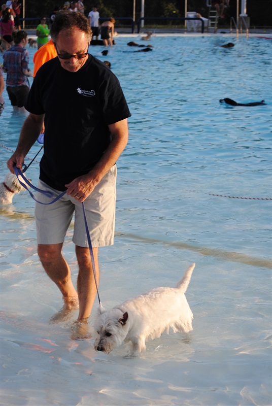LPR-DOG-DogSplash14.jpg