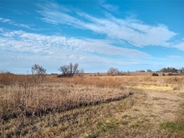 A mowed path curves into the long grass prairie. 