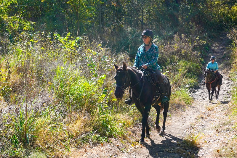 two people riding horses on a trail though wilderness park