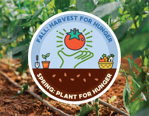 A circular “Fall: Harvest for Hunger / Spring: Plant for Hunger” badge appears over a background of young green plants growing in neat rows of soil. The badge features illustrations of a hand holding a tomato, a small potted plant with a trowel, and a basket of produce.