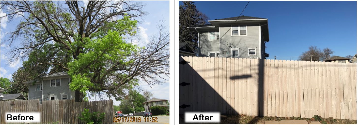 Before & After Photos