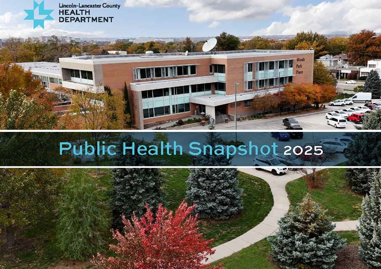 Public Health Snapshot 2025 Cover