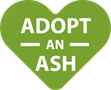 Emerald Ash Beetle Adopt an Ash Logo