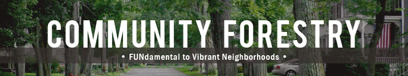 Lincoln Community Forestry is FUNdamental to vibrant neighorhoods.