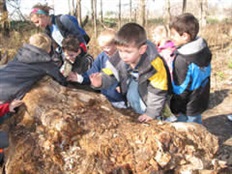 adamsschool-rottinglog.jpg