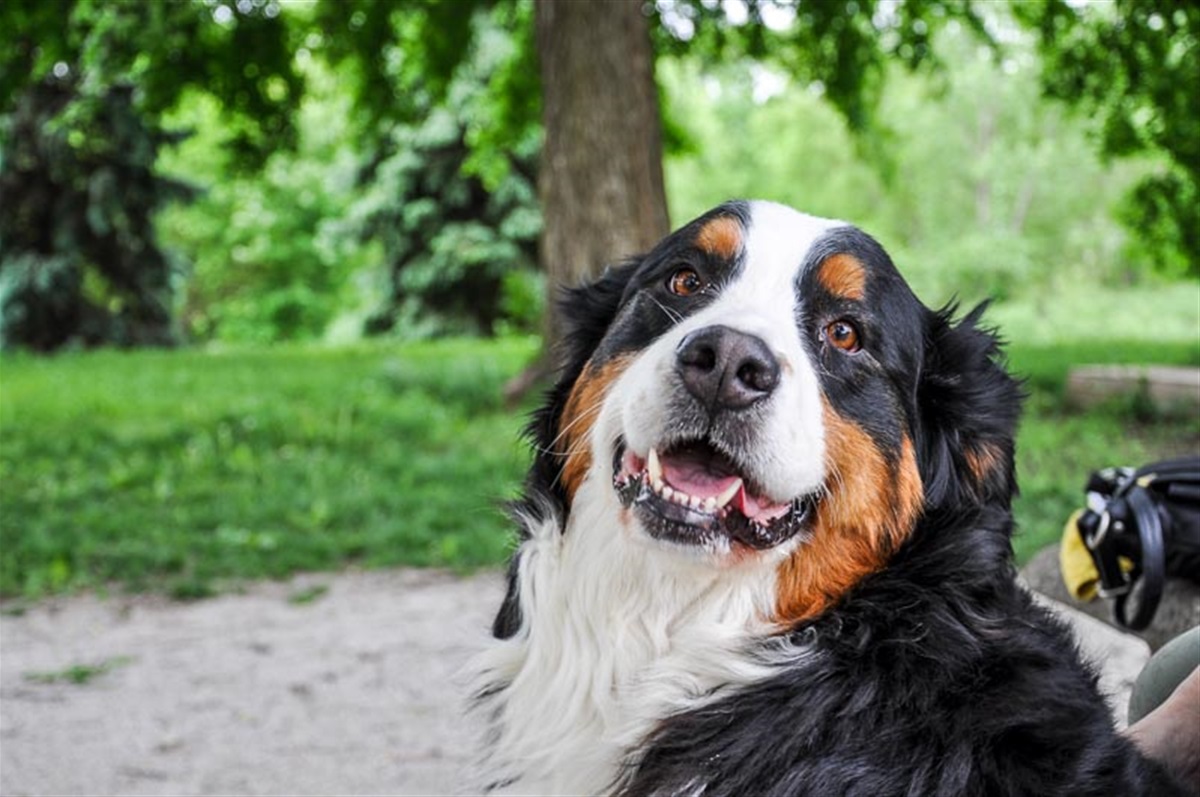 Rickman's Run at Holmes Lake Park City of Lincoln, NE