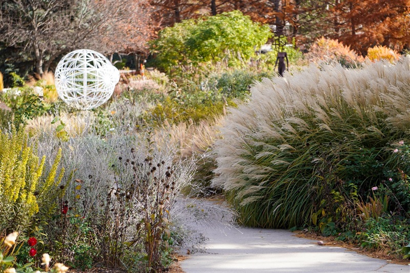 The Hamann Rose Gardens in fall, with sculptures Palo Alto 1 and Sphere 1 & 2 rising from the grasses that surround them.
