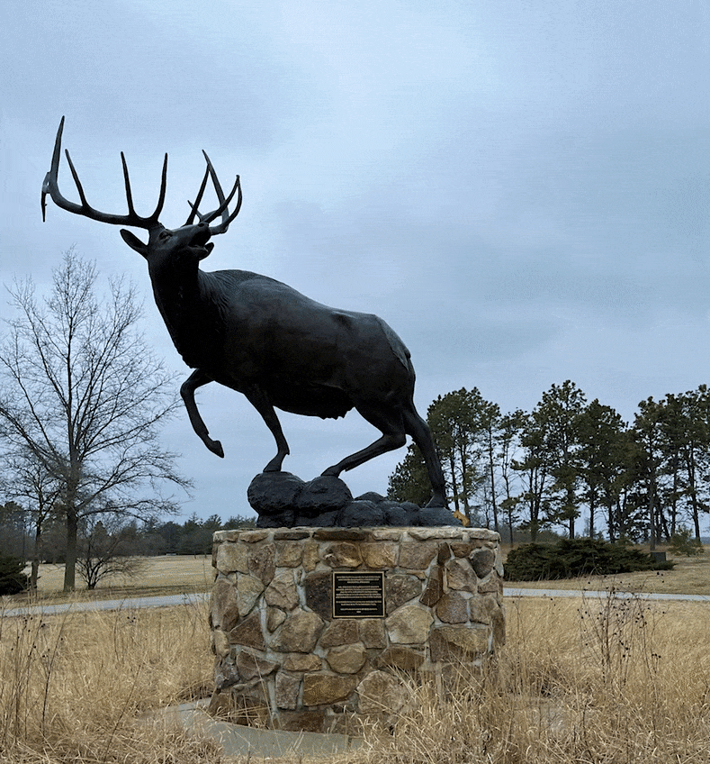 Rotating around the sculpture of an elk, showing all sides and angles